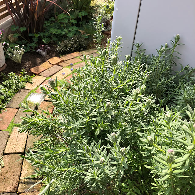 kyoko1124koさんの部屋