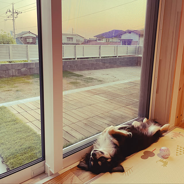 norimarukoさんの実例写真