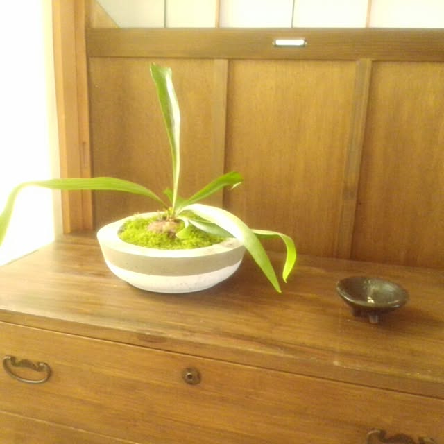 oliveさんの実例写真
