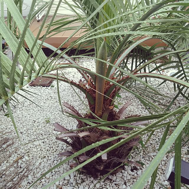 NAOKIさんの実例写真
