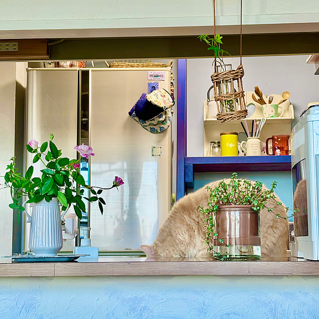 naokoさんの部屋