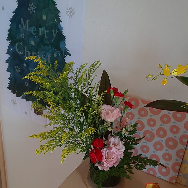 KOHAKUさんの部屋