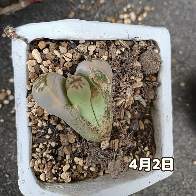 tomo5さんの部屋