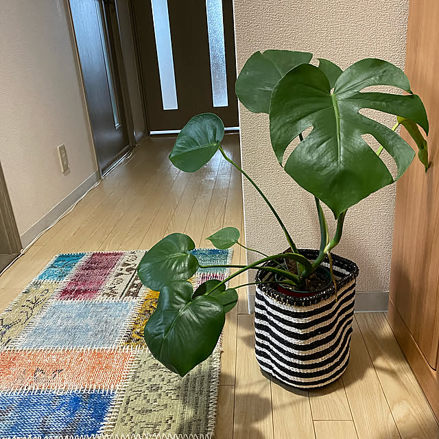 mamimoさんの実例写真