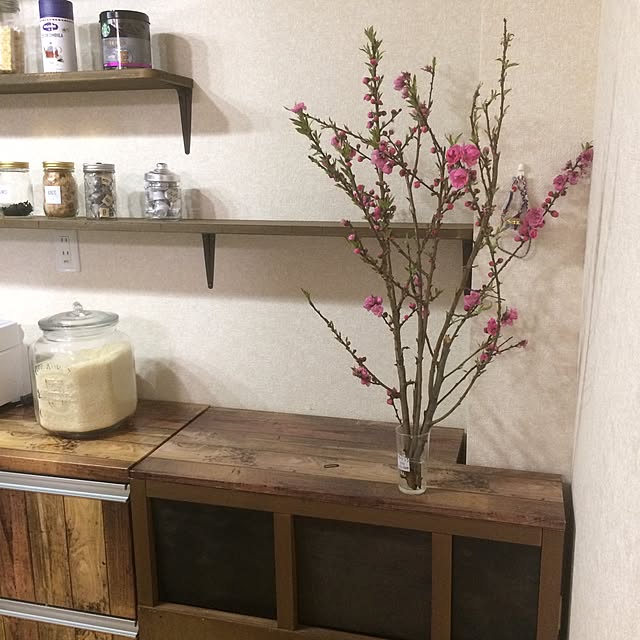 Adusaさんの実例写真