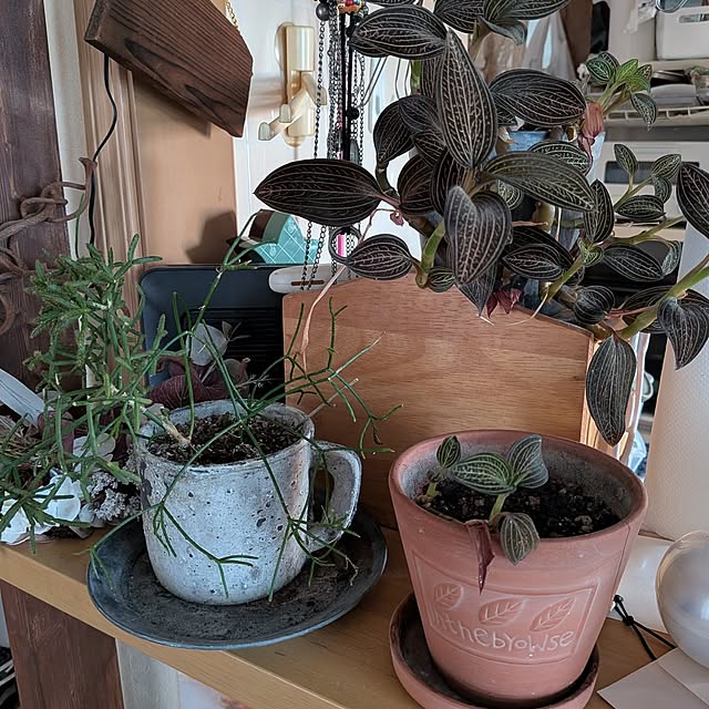 chi_gogaさんの実例写真