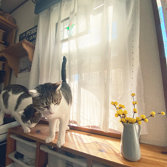 Lufuさんの実例写真