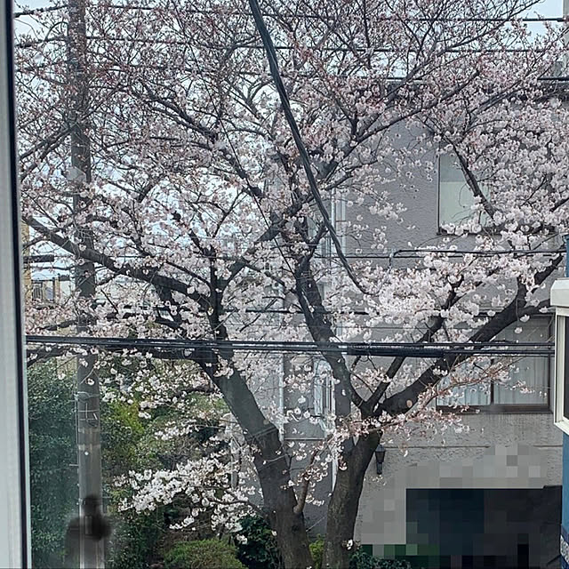 masakoさんの実例写真