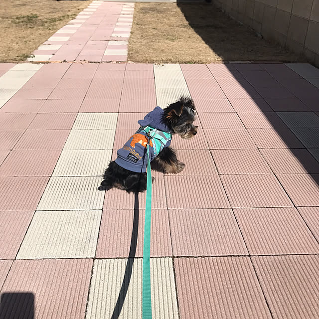 oceanさんの部屋