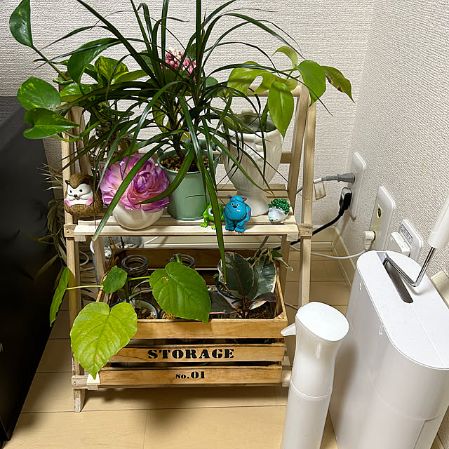 chakjさんの実例写真