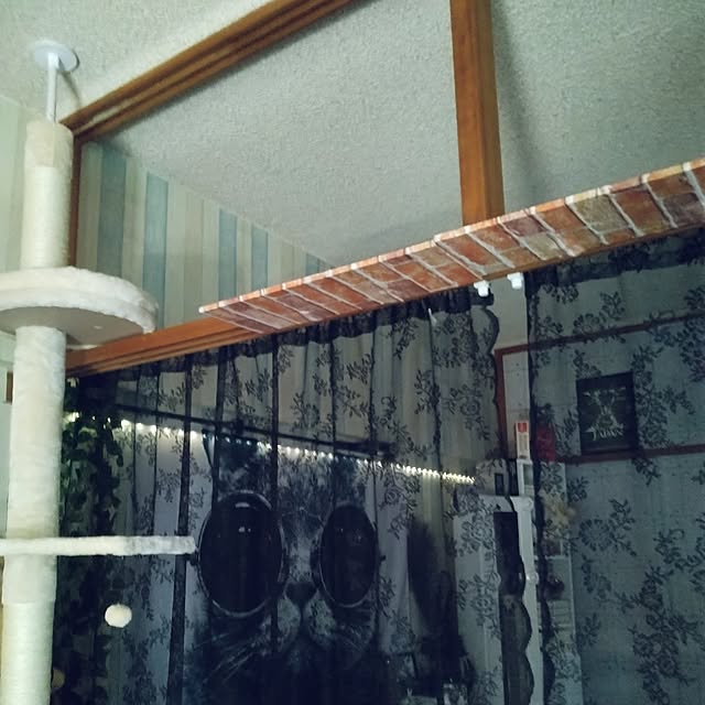 runaさんの部屋