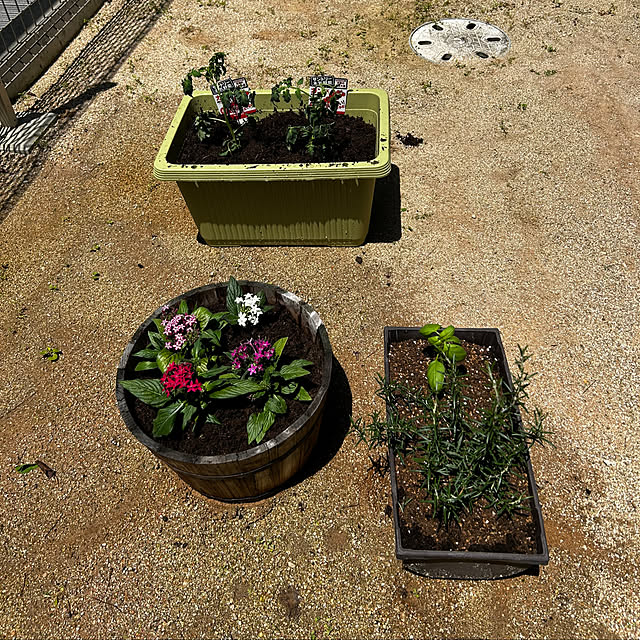 porinさんの部屋