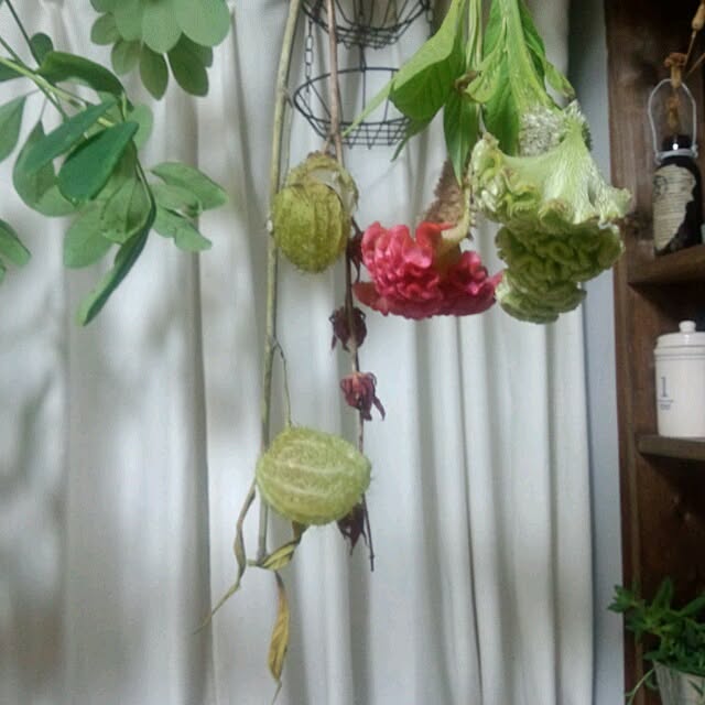 mucc08さんの実例写真