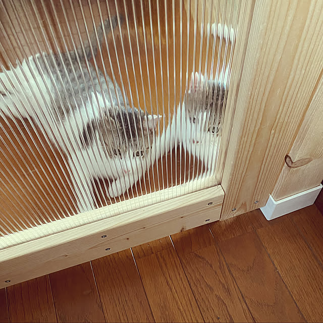 Lufuさんの実例写真