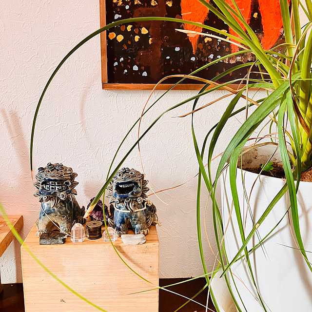 tomorinさんの部屋