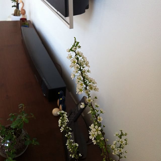 takkさんの実例写真