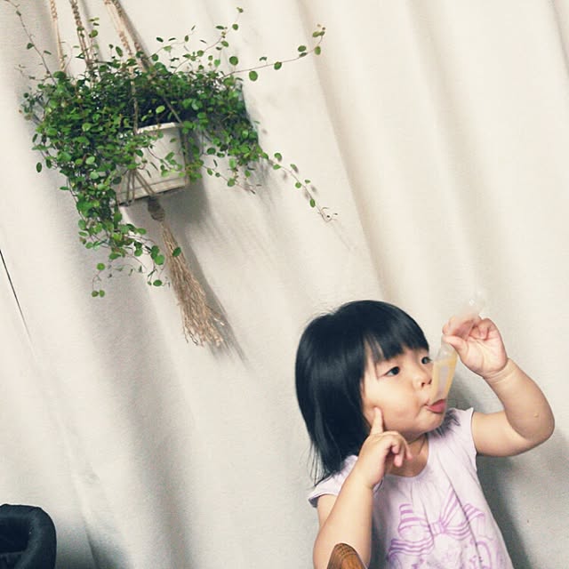 AOMUSHIさんの実例写真