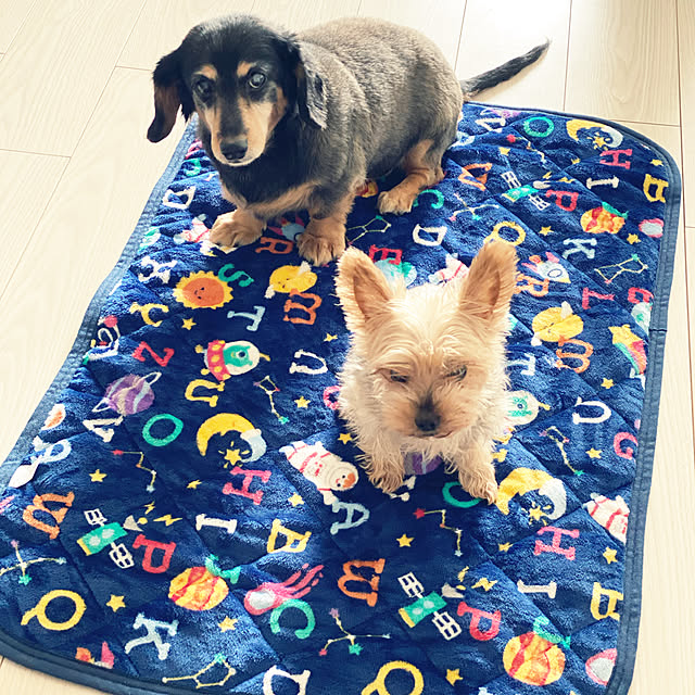 ohanaさんの実例写真