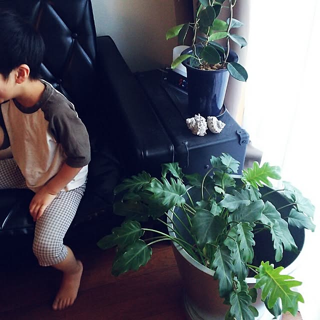 yuiticさんの実例写真