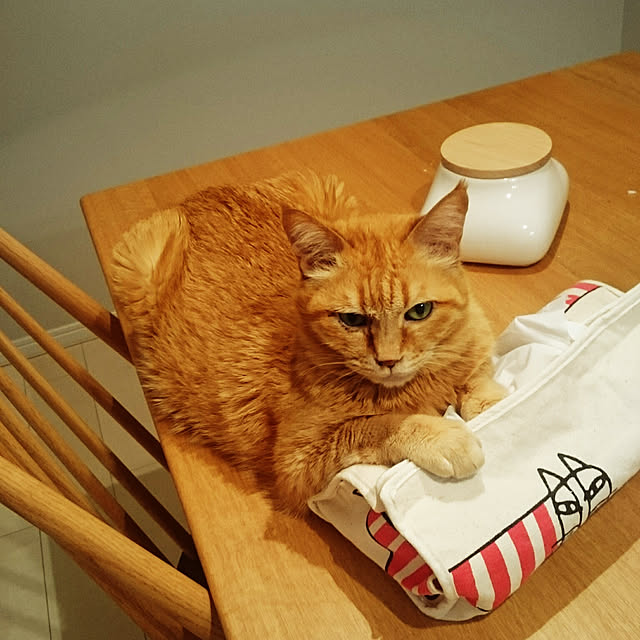 hanacocoさんの実例写真