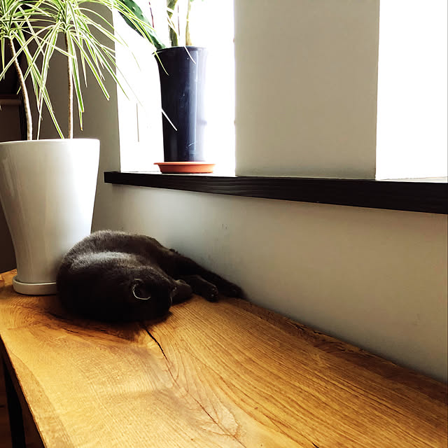 slowlife1130さんの実例写真