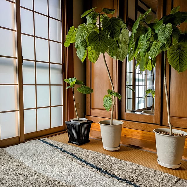 Renさんの部屋