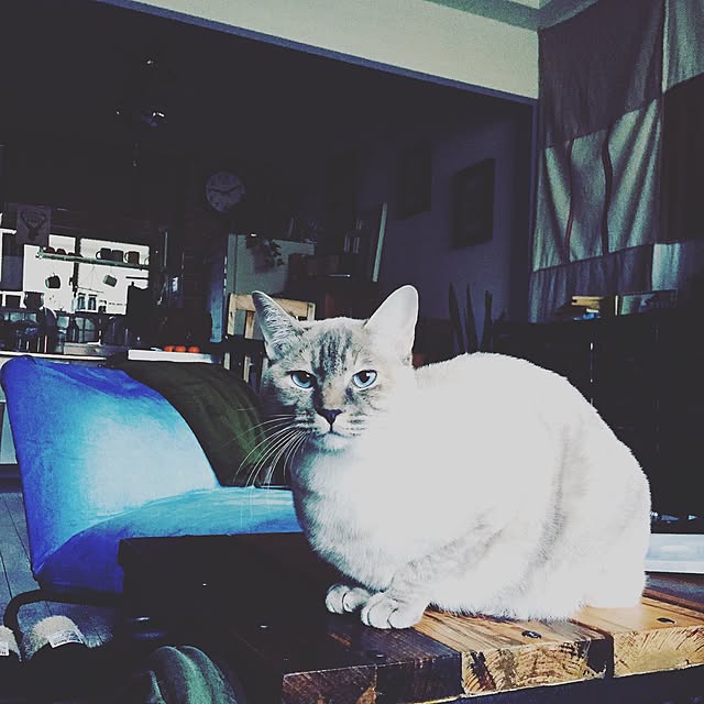 Naoki.さんの実例写真