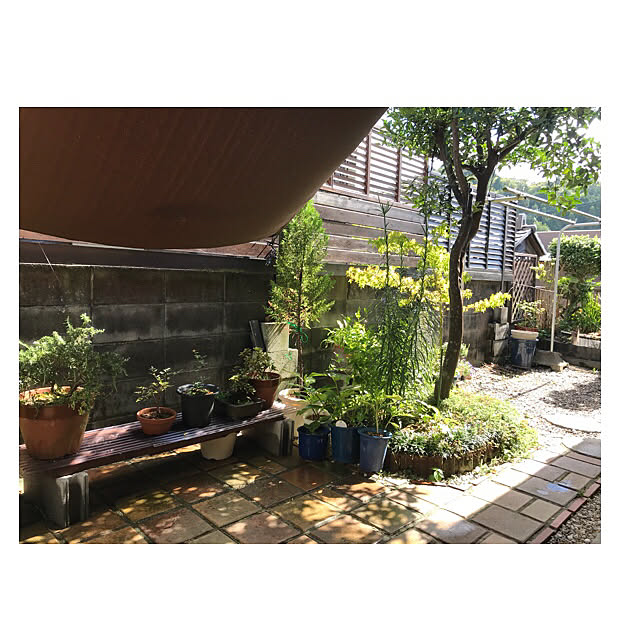 tomoさんの実例写真
