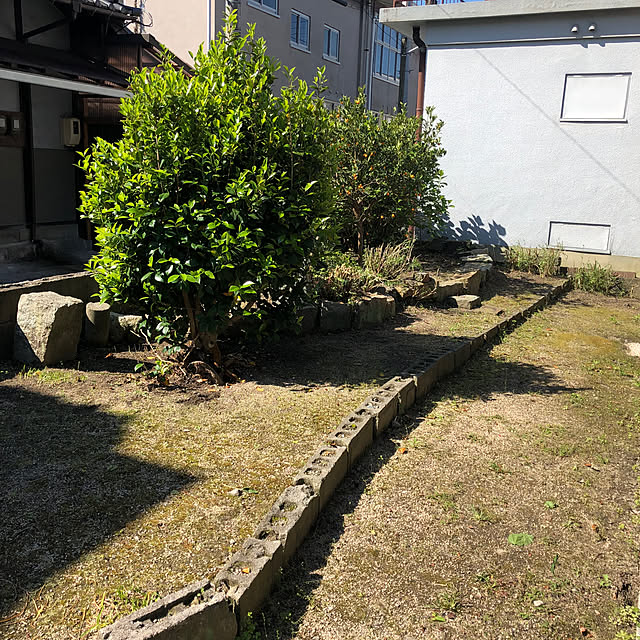 conatuさんの実例写真