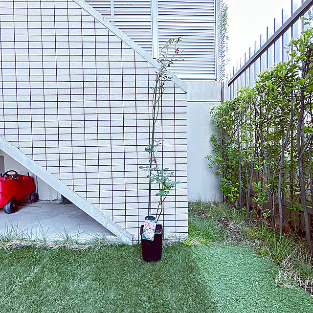 hiromimiさんの実例写真