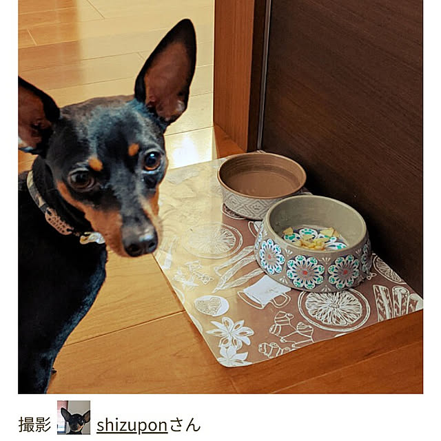 shizuponさんの実例写真