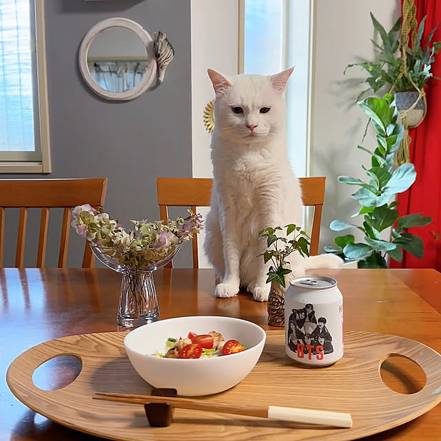 nyanko-beamさんの実例写真