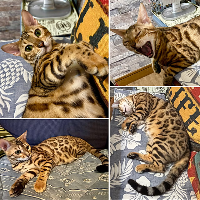 tututu0204さんの部屋