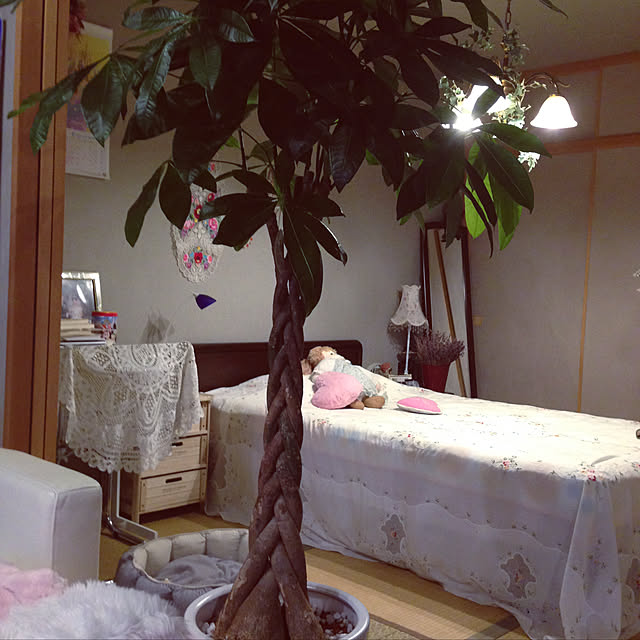 saraminさんの実例写真