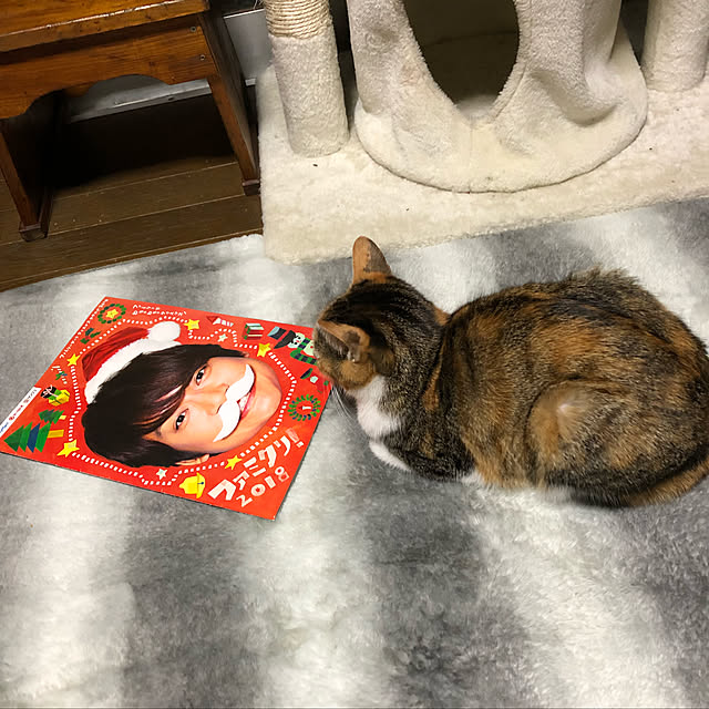 vivienne.coco-keiさんの実例写真