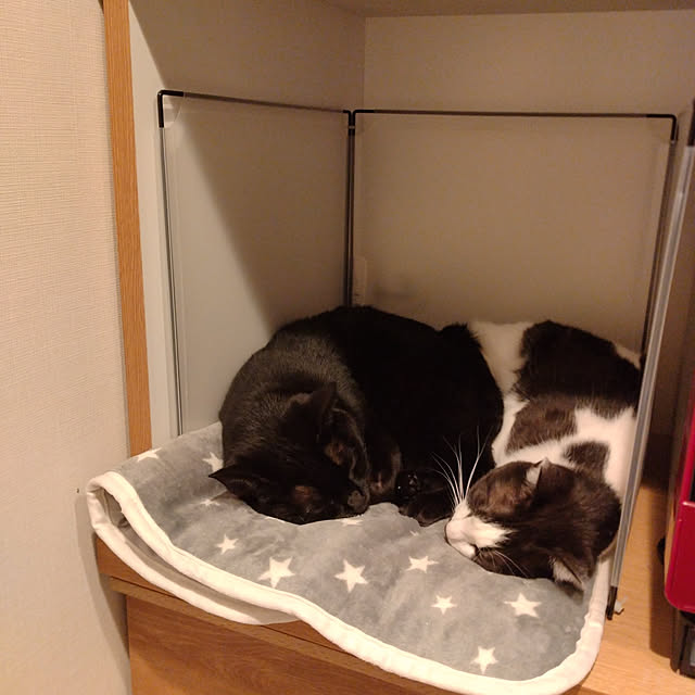 haruissaさんの実例写真