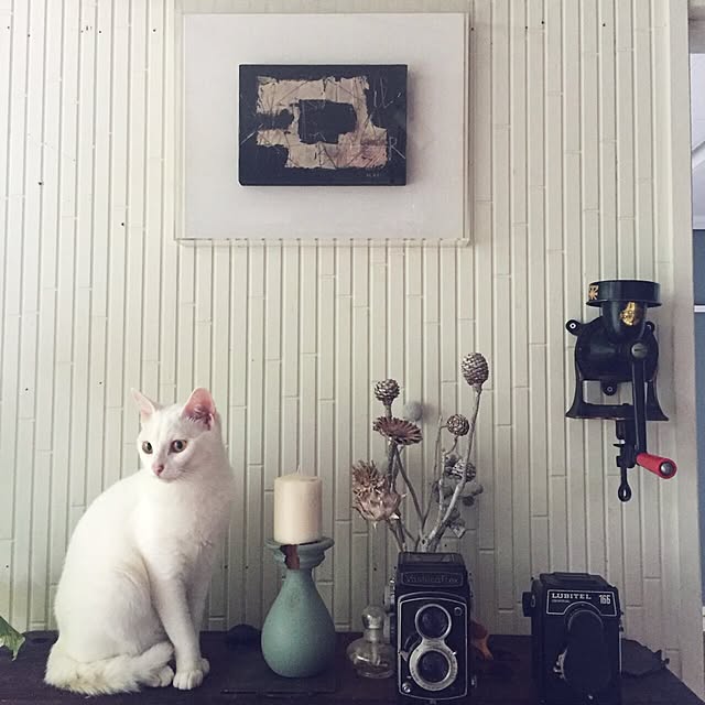 ru-kojiさんの実例写真