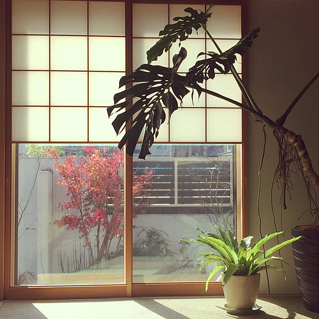 maimai0110さんの実例写真