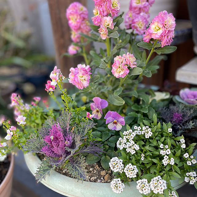 buchiさんの実例写真