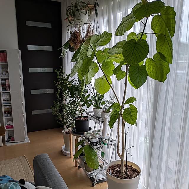 naoさんの部屋