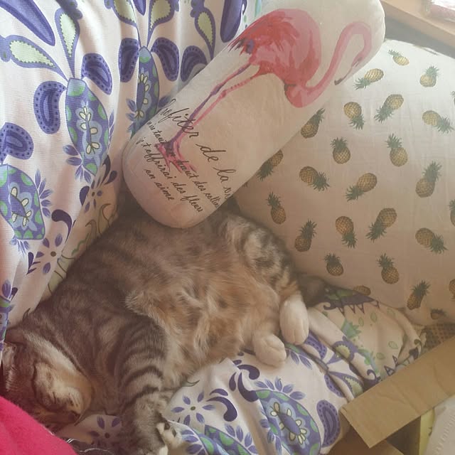 annさんの実例写真