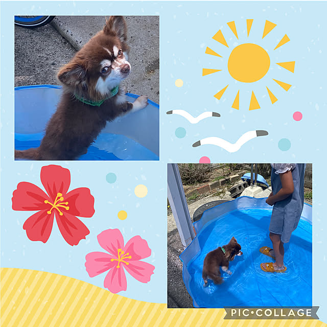 chIoeさんの実例写真