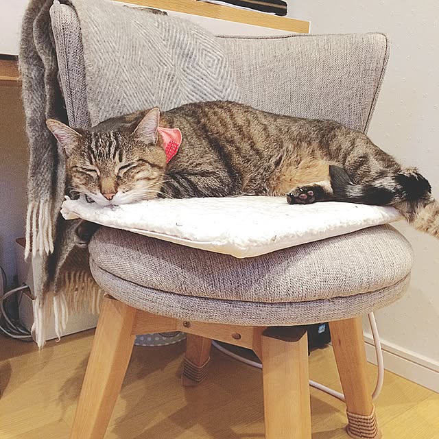 lovecatさんの実例写真