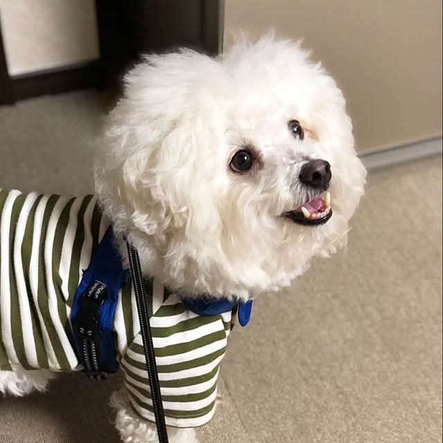 takoさんの実例写真