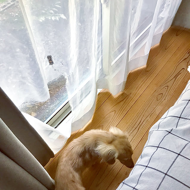 yukariさんの実例写真