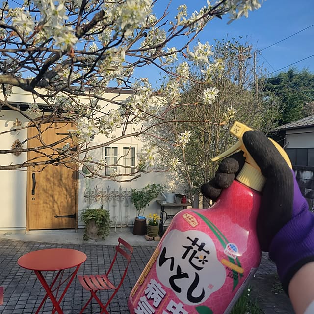 reireiさんの実例写真