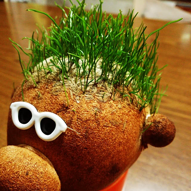 kazuminさんの実例写真