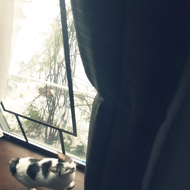 Mikaさんの部屋