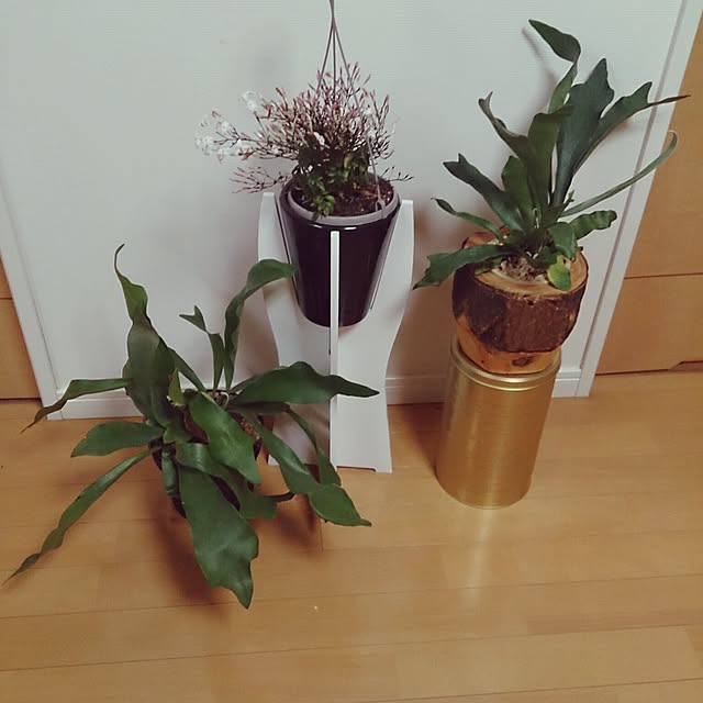 n0516さんの実例写真