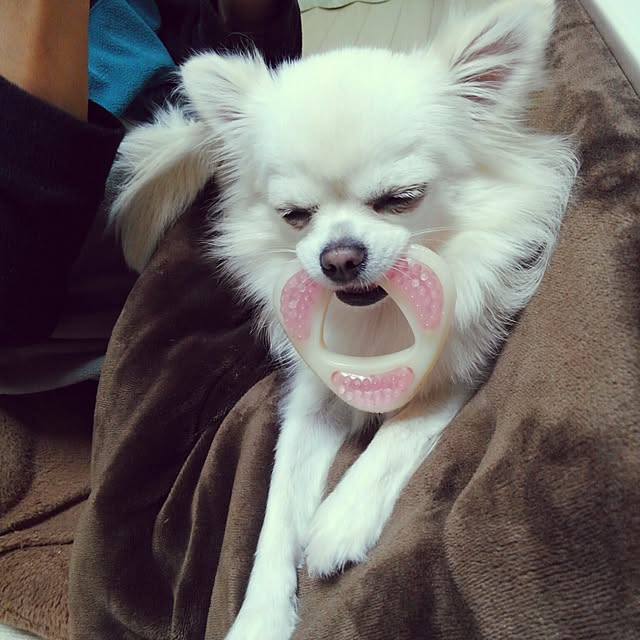 okuriさんの実例写真